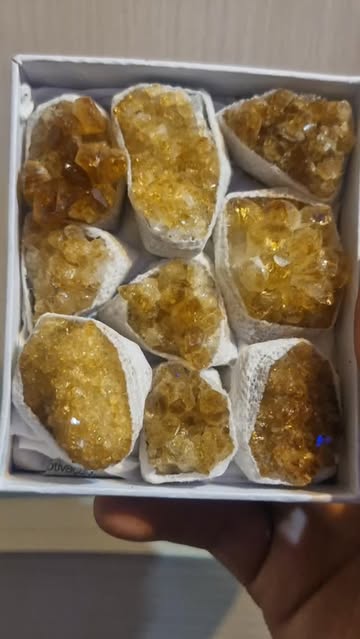 راف جعبه ای سیترین دونه ای